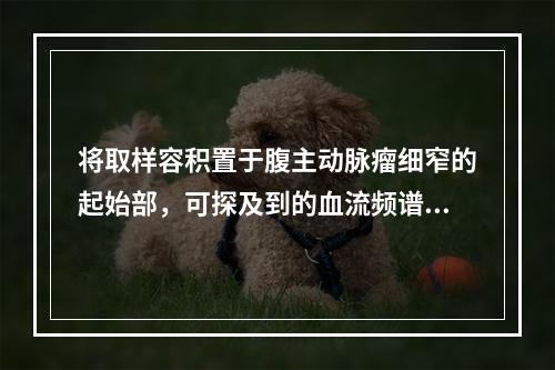 将取样容积置于腹主动脉瘤细窄的起始部，可探及到的血流频谱为