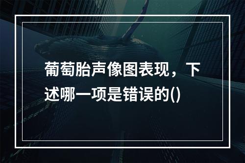 葡萄胎声像图表现，下述哪一项是错误的()