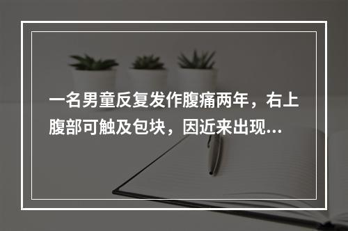 一名男童反复发作腹痛两年，右上腹部可触及包块，因近来出现黄疸