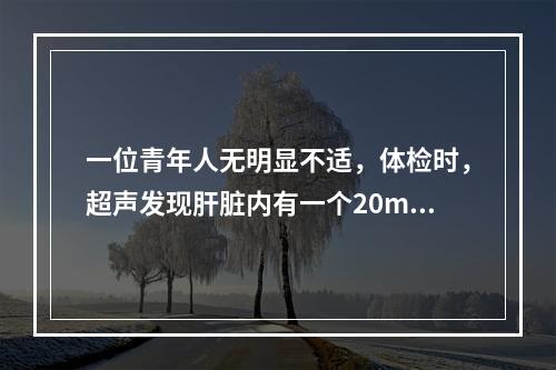 一位青年人无明显不适，体检时，超声发现肝脏内有一个20mm的