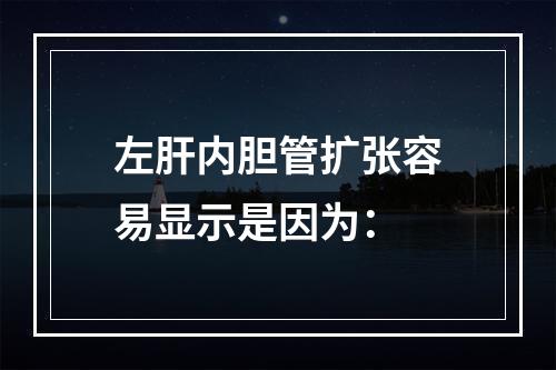 左肝内胆管扩张容易显示是因为：