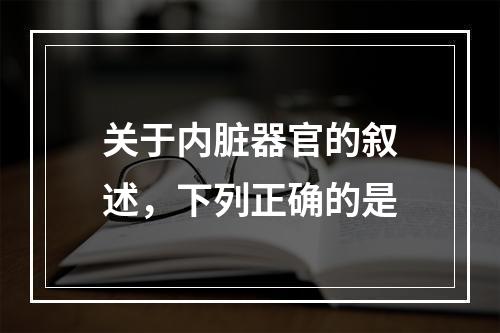 关于内脏器官的叙述，下列正确的是