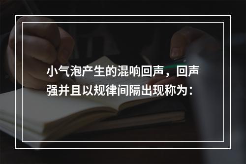 小气泡产生的混响回声，回声强并且以规律间隔出现称为：