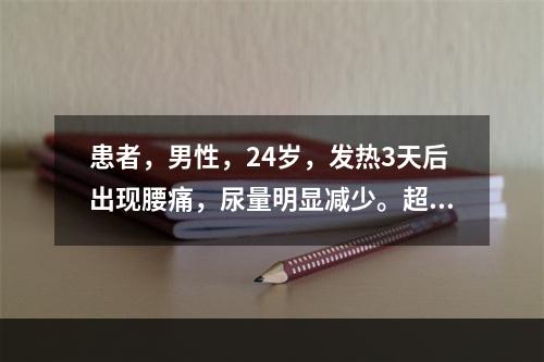 患者，男性，24岁，发热3天后出现腰痛，尿量明显减少。超声特