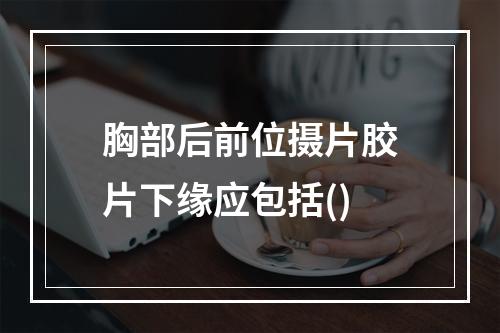 胸部后前位摄片胶片下缘应包括()