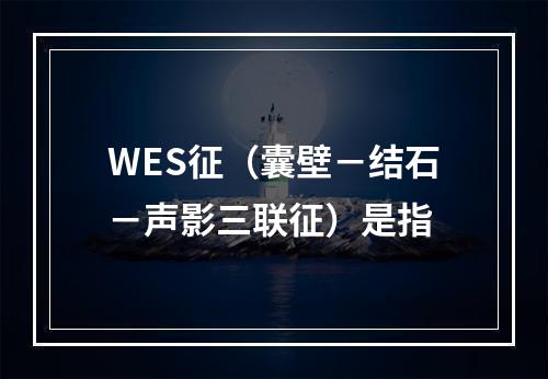 WES征（囊壁－结石－声影三联征）是指