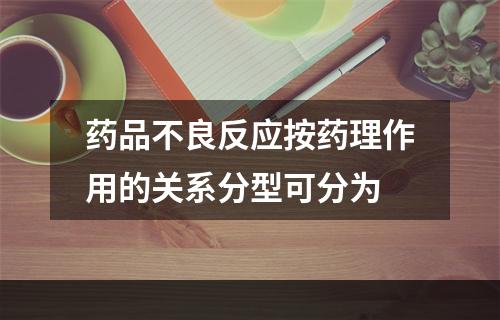 药品不良反应按药理作用的关系分型可分为