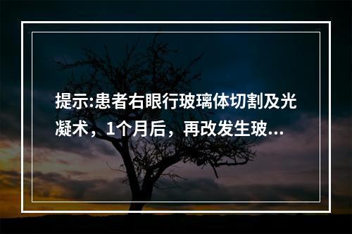 提示:患者右眼行玻璃体切割及光凝术，1个月后，再改发生玻璃体