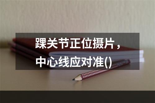 踝关节正位摄片，中心线应对准()