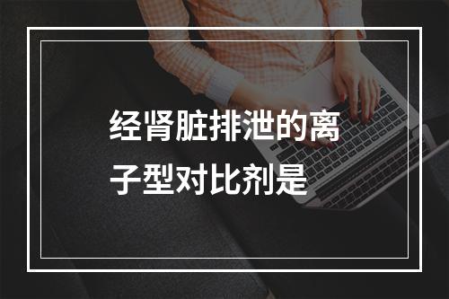 经肾脏排泄的离子型对比剂是