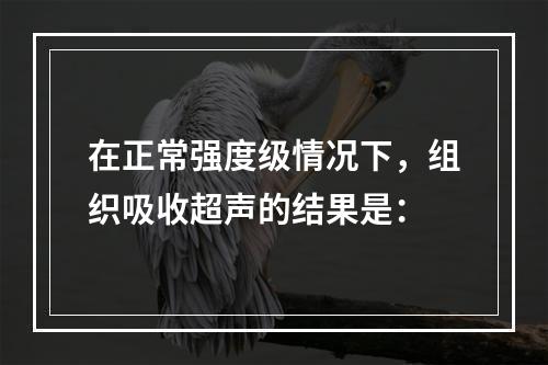 在正常强度级情况下，组织吸收超声的结果是：