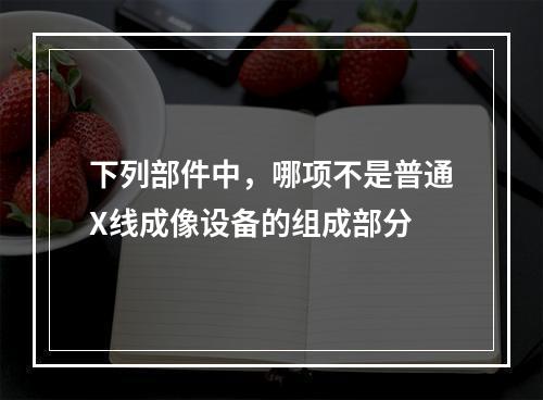 下列部件中，哪项不是普通X线成像设备的组成部分