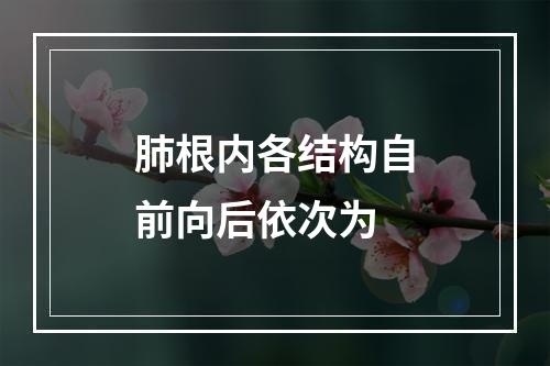 肺根内各结构自前向后依次为