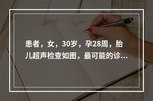 患者，女，30岁，孕28周，胎儿超声检查如图，最可能的诊断是