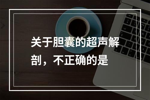 关于胆囊的超声解剖，不正确的是