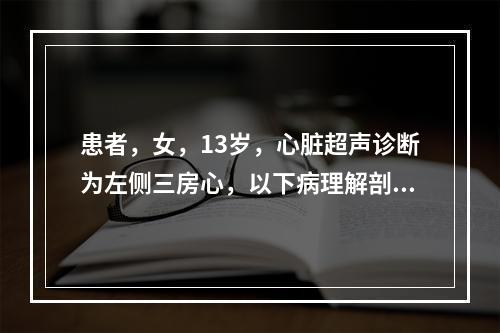 患者，女，13岁，心脏超声诊断为左侧三房心，以下病理解剖及超