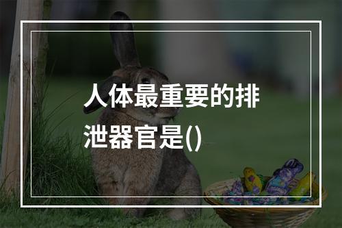 人体最重要的排泄器官是()