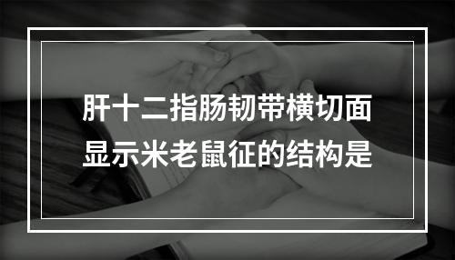 肝十二指肠韧带横切面显示米老鼠征的结构是