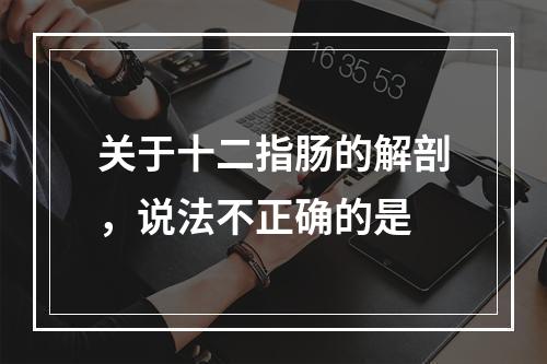 关于十二指肠的解剖，说法不正确的是