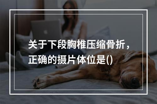 关于下段胸椎压缩骨折，正确的摄片体位是()