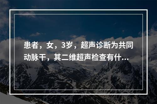 患者，女，3岁，超声诊断为共同动脉干，其二维超声检查有什么特