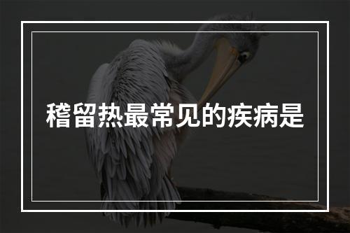 稽留热最常见的疾病是