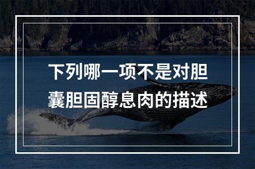 下列哪一项不是对胆囊胆固醇息肉的描述