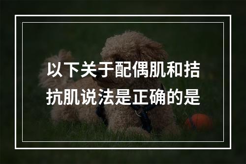 以下关于配偶肌和拮抗肌说法是正确的是