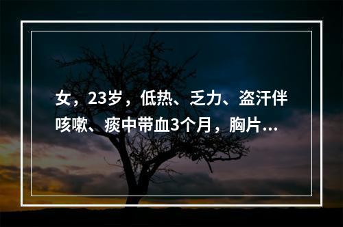 女，23岁，低热、乏力、盗汗伴咳嗽、痰中带血3个月，胸片示右