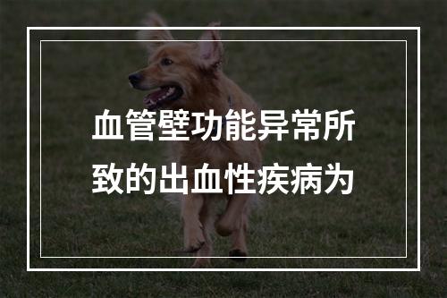 血管壁功能异常所致的出血性疾病为