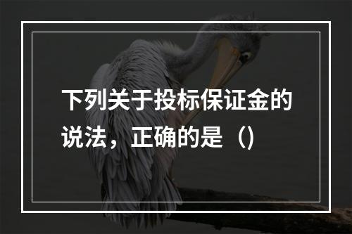 下列关于投标保证金的说法，正确的是（)