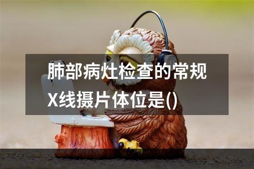 肺部病灶检查的常规X线摄片体位是()