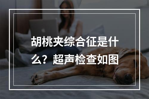 胡桃夹综合征是什么？超声检查如图