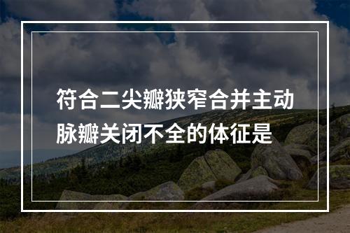 符合二尖瓣狭窄合并主动脉瓣关闭不全的体征是