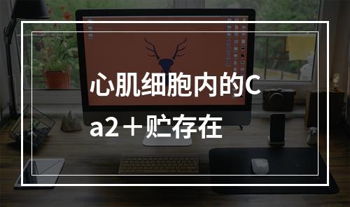 心肌细胞内的Ca2＋贮存在