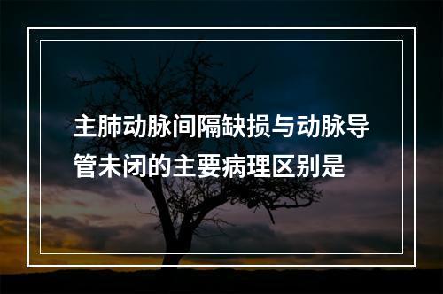 主肺动脉间隔缺损与动脉导管未闭的主要病理区别是