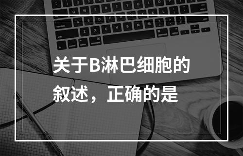 关于B淋巴细胞的叙述，正确的是