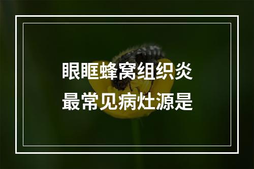 眼眶蜂窝组织炎最常见病灶源是