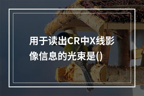 用于读出CR中X线影像信息的光束是()