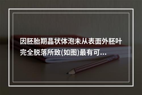 因胚胎期晶状体泡未从表面外胚叶完全脱落所致(如图)最有可能是