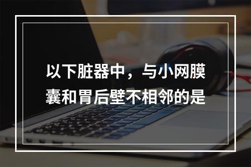 以下脏器中，与小网膜囊和胃后壁不相邻的是