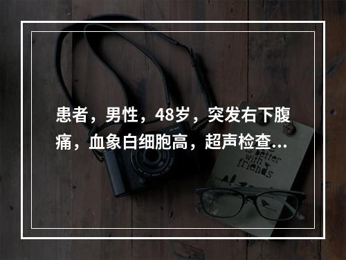 患者，男性，48岁，突发右下腹痛，血象白细胞高，超声检查如图