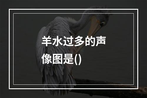 羊水过多的声像图是()