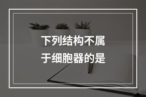 下列结构不属于细胞器的是