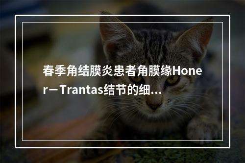 春季角结膜炎患者角膜缘Honer－Trantas结节的细胞组