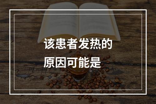 该患者发热的原因可能是