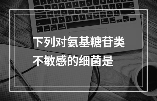 下列对氨基糖苷类不敏感的细菌是