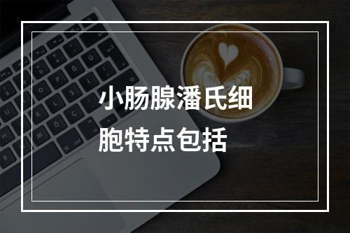 小肠腺潘氏细胞特点包括