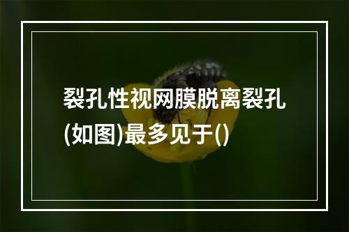 裂孔性视网膜脱离裂孔(如图)最多见于()