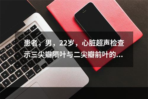 患者，男，22岁，心脏超声检查示三尖瓣隔叶与二尖瓣前叶的距离